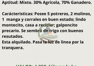 96 ha mixtas - las flores