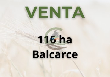 116 ha agricolas - balcarce 