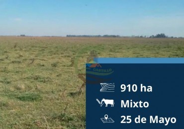910 ha Mixto - 25 de Mayo