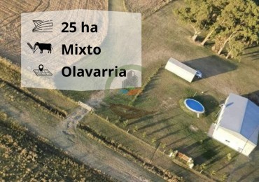 25 ha Mixto - Olavarria 