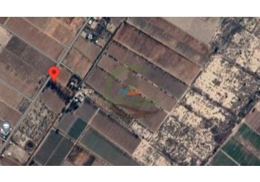 80 Ha Agricolas - San Martin - Mendoza