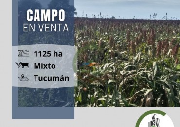 1125 ha Subdividido en tres fracciones mixto - Tucuman