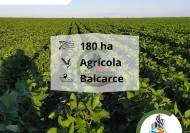 175 ha agricolas - balcarce 