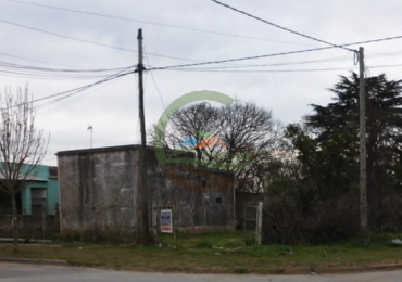 Lote 280 - Roque Perez
