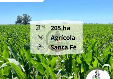 206 ha Agricolas - Santa Fe