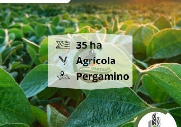 39 ha agricolas - pergamino