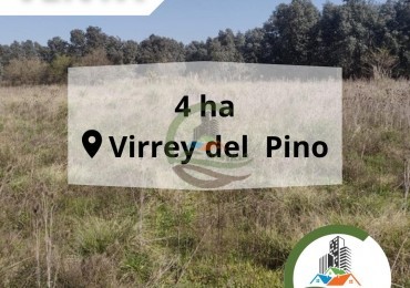 4 ha Virrey del Pino
