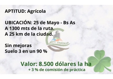100 ha agricolas - 25 de mayo