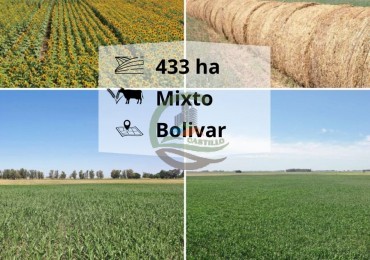433 ha mixtas - bolivar