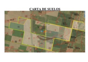 1517 Ha Mixto - Maciel - Santa Fe