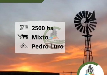2500 ha mixtas - pedro luro