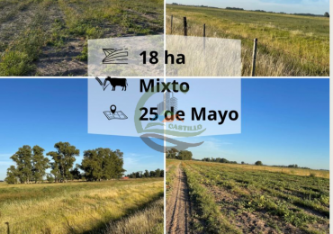 18 ha Mixtos - Pedernales