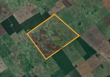 244 Ha Mixtas - Reynoso - Saladillo