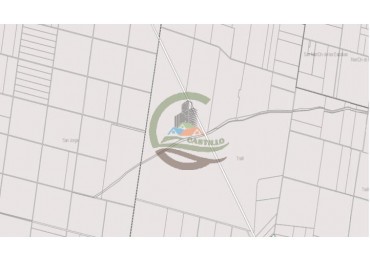 1561 Ha Mixtas - San Martin - Santa Fe