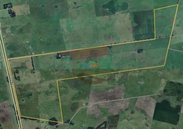 415 Ha Mixtas - Mar Chiquita
