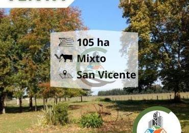 105 ha mixtas - san vicente
