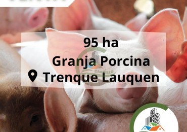 95 Ha Granja de Cerdos - Trenque Lauquen
