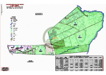 1577 Ha  Ganadero - Gualeguaychu - Entre Rios