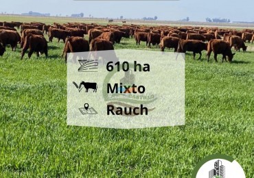 617 ha mixtas - rauch