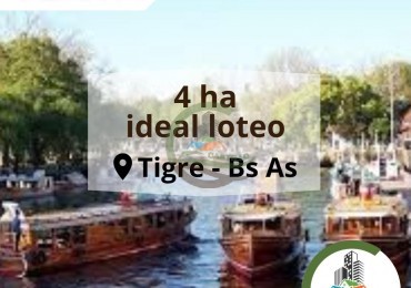 4 ha Desarrollo - Tigre