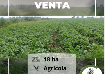18 ha agricola - pergamino