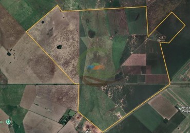 690 Ha Mixto - Pergamino