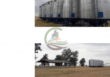 304 ha Mixtas - Olavarria 