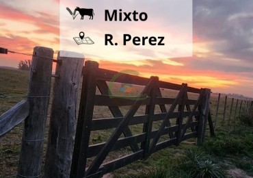 4,5 ha Mixta - Roque Perez