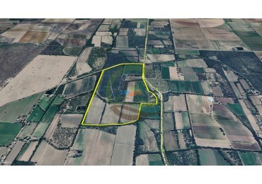 56 Ha Agricolas - San Pedro - Cordoba