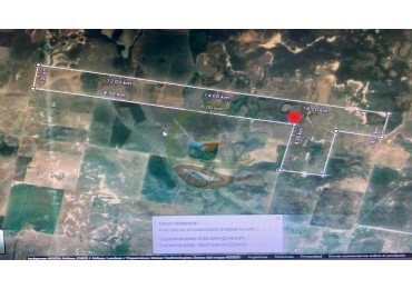 528 ha Mixtas - Cordoba