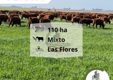119 ha mixtas - las flores
