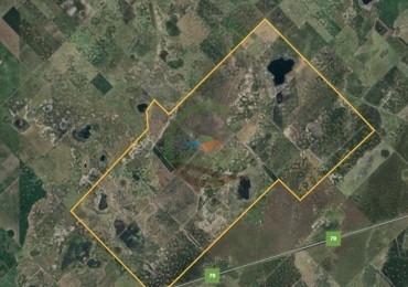 2213 Ha Mixto - Colonia Sere - Carlos Tejedor