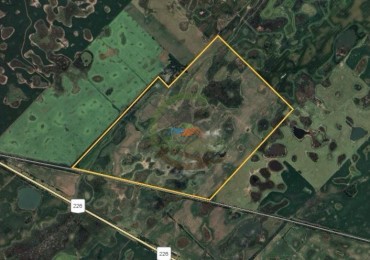 258 Ha Mixtas - Herrera Vegas