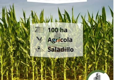 100 ha agricolas - saladillo