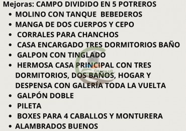 100 ha Ganaderas - Saladillo