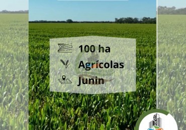 100 ha Agricolas - Junin