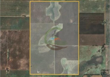 415 Ha Mixtas - Quemu Quemu - La Pampa