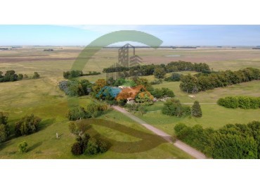 3977 ha Mixto - Olavarria