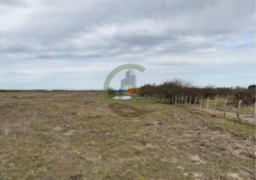 115 ha Mixto - San Salvador - Entre Rios