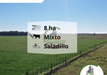8 ha mixtas - Saladillo