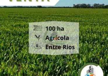 100 Ha Agricolas + 1145 Ha. de Isla - Entre rios