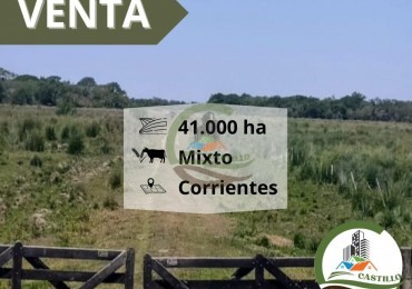 41000 ha mixtas - corrientes
