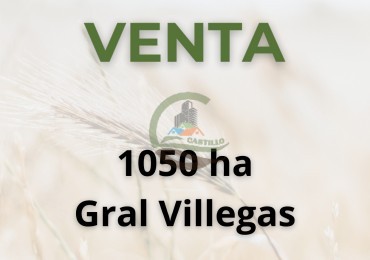 1050 ha agricolas - gral villegas