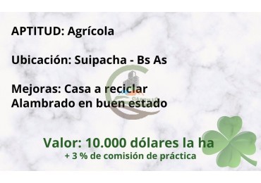 56 ha Agricola - Suipacha