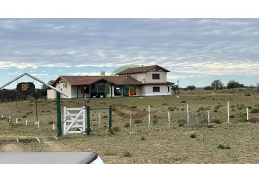 4000 Ha Coto de Caza - Hucal - La Pampa