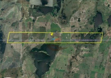 1009 ha Mixto - Rufino - Santa Fe