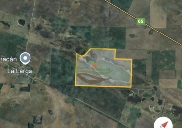 120 ha Mixto - Daireaux