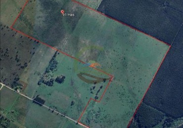 91 Ha Mixtas - San Salvador - Entre Rios