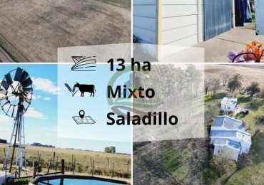 12,6 ha Mixtas - Saladillo