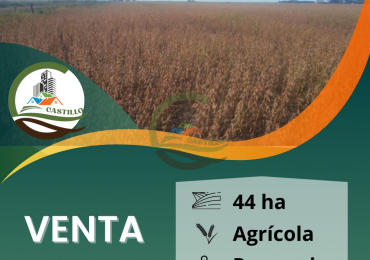 44 ha agricola - pergamino
